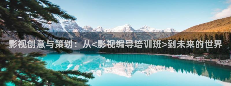 麻豆影片免费观看：影视创意与策划：从<影视编导培训班>到未来的世界