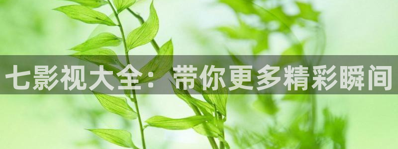 hd在线观看麻豆：七影视大全：带你更多精彩瞬间
