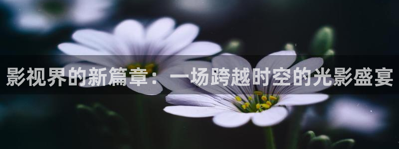 麻豆毛片电影：影视界的新篇章：一场跨越时空的光影盛宴